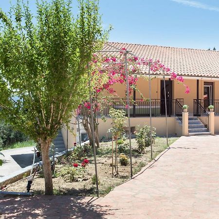 Olive Tree House Villa Evropouloi Exterior foto