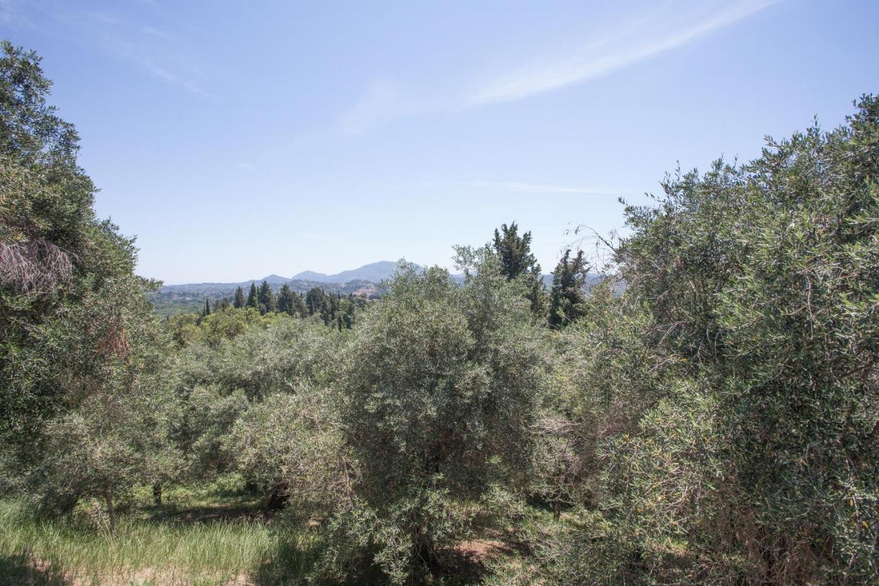 Olive Tree House Villa Evropouloi Exterior foto